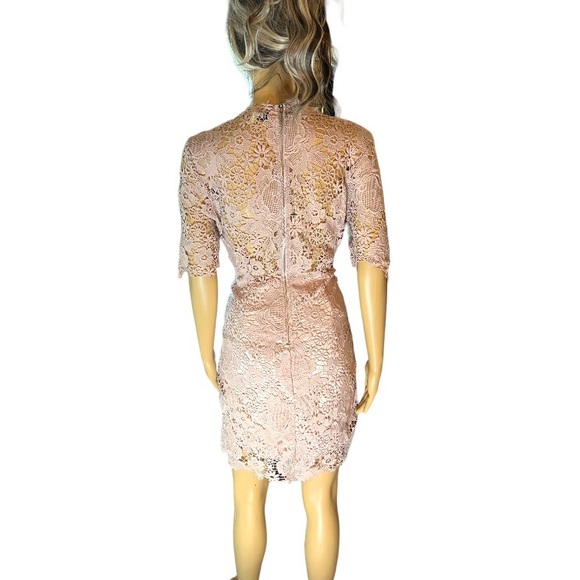 Windsor Blush Pink Lace Cocktail Special Occasion Sheath Medium Dress - Picture 2 of 9